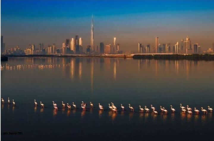 WhatsApp Image 2026-02-18 at 8.23.56 AM