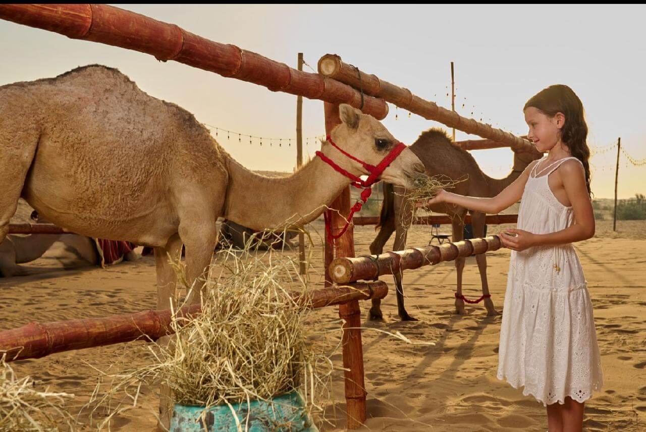 WhatsApp Image 2026-02-20 at 11.38.27 AM