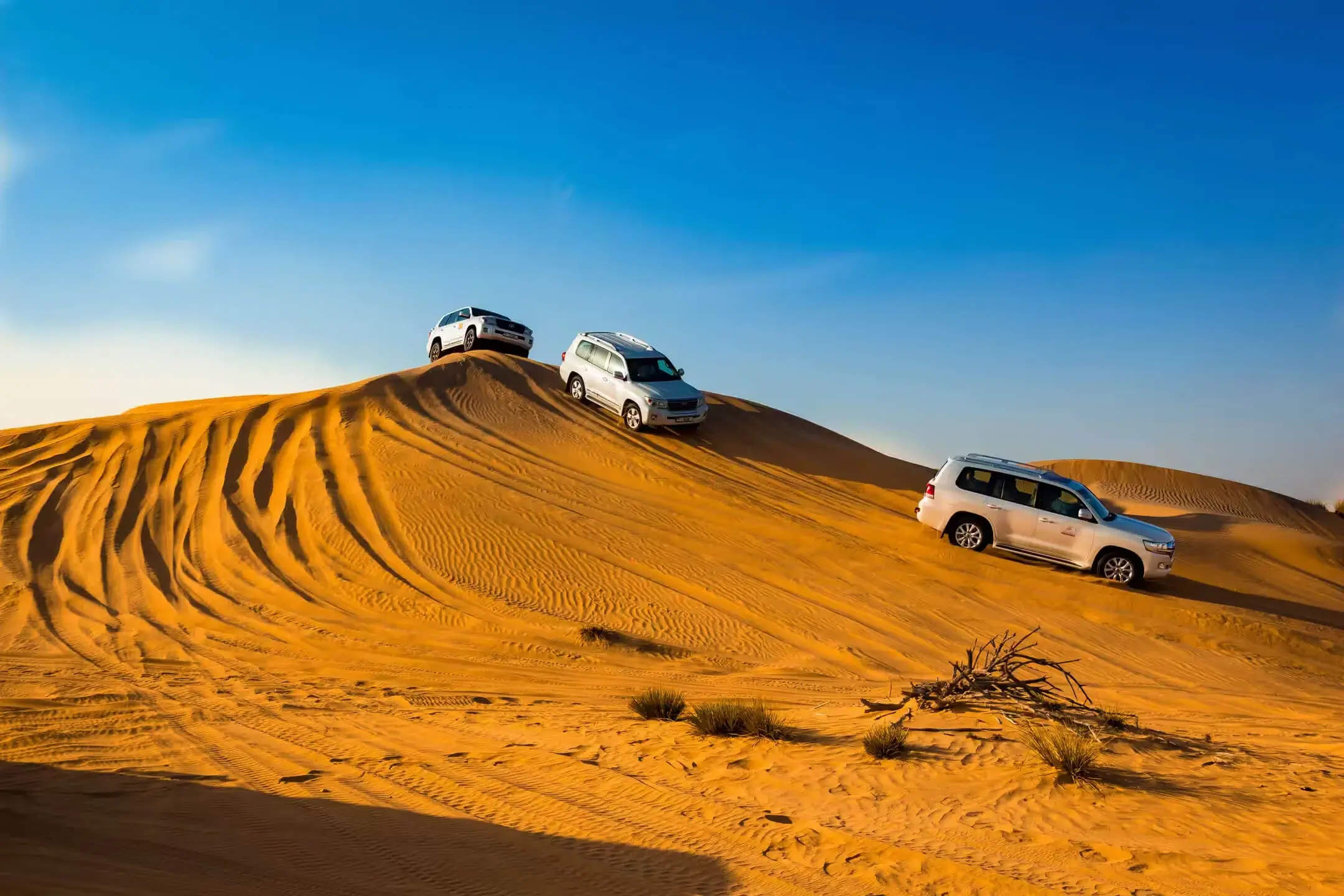 d8urh8zzjhuxnjc968p8fy97eduh_Dune_Bashing_Dubai_62d176074c-1-1